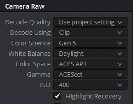 Tab di Camera Raw in DaVinci Resolve