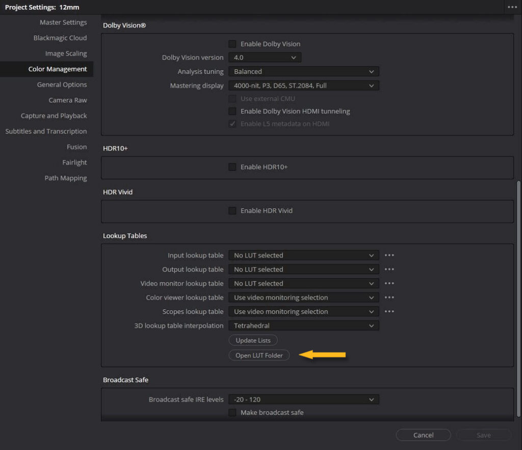 DaVinci Resolve - Cartella LUT